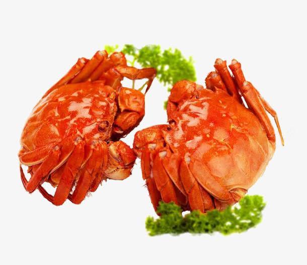 两只螃蟹高清素材 产品实物 大闸蟹 海鲜.