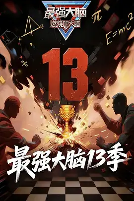 最强大脑第十三季海报
